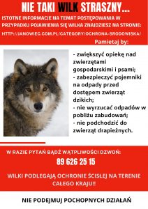 informacje na temat wilków